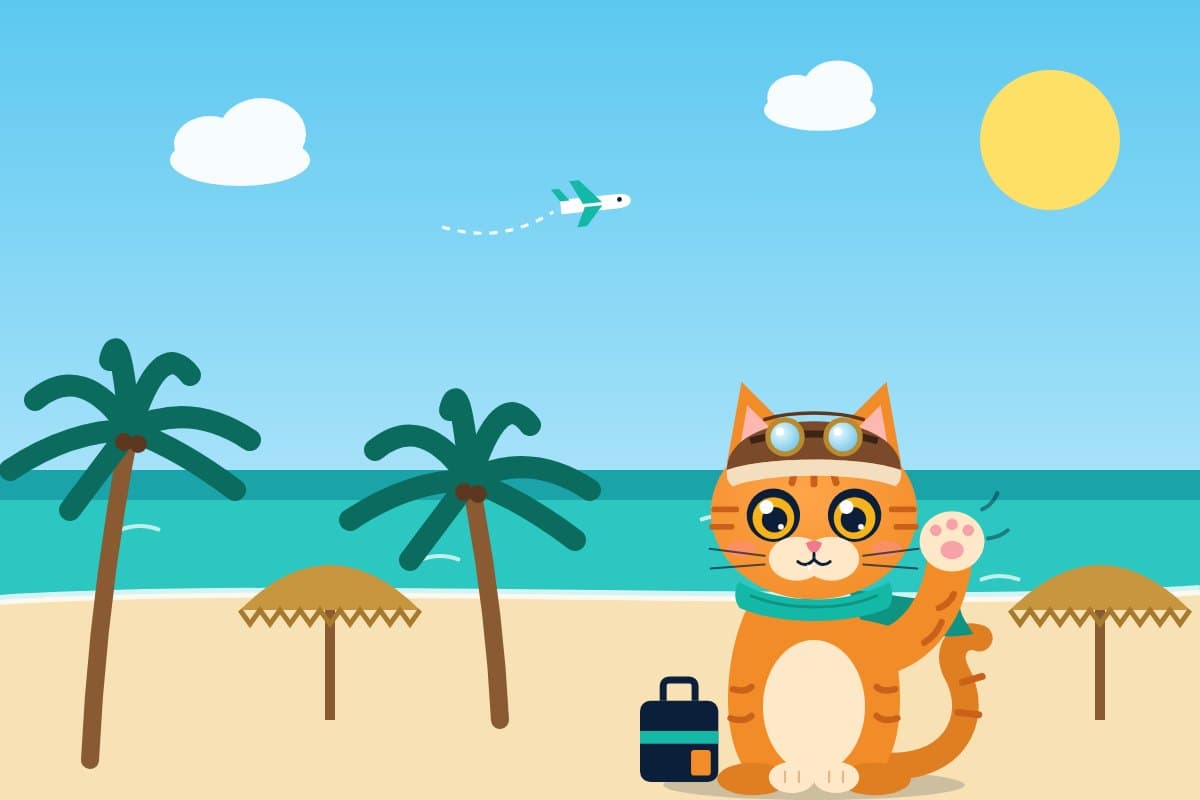 Pounce waving in Cancún